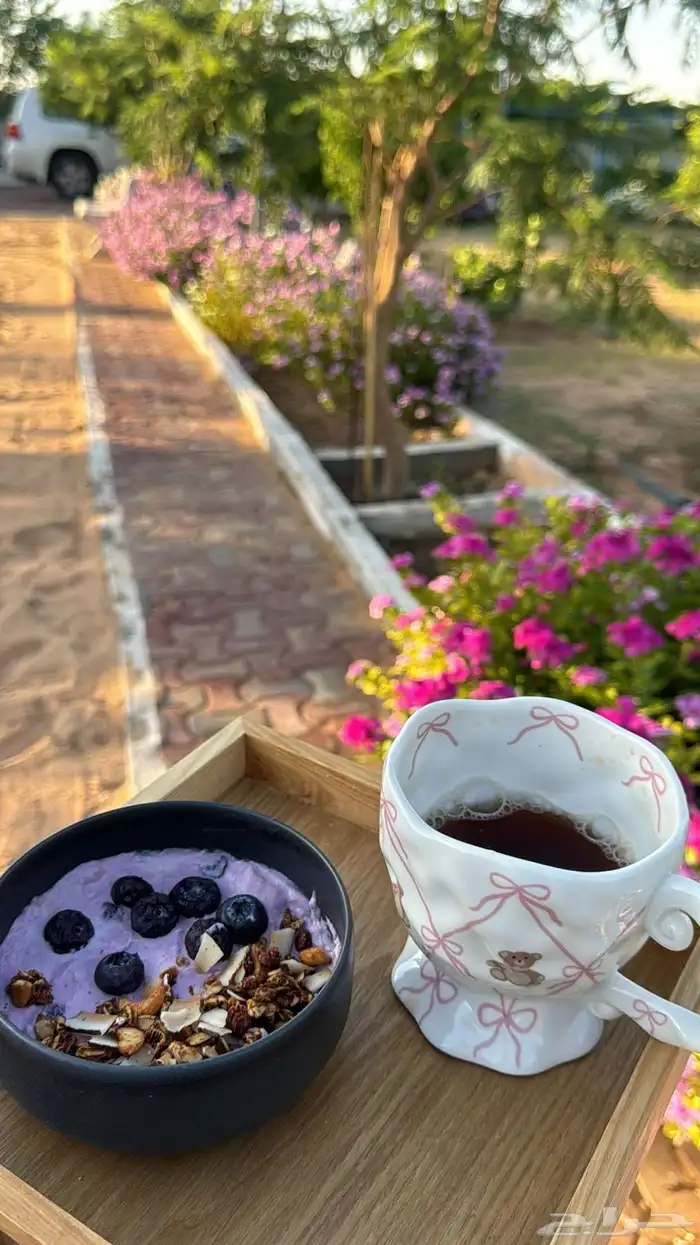 مزرعه منتجع شاليه 27