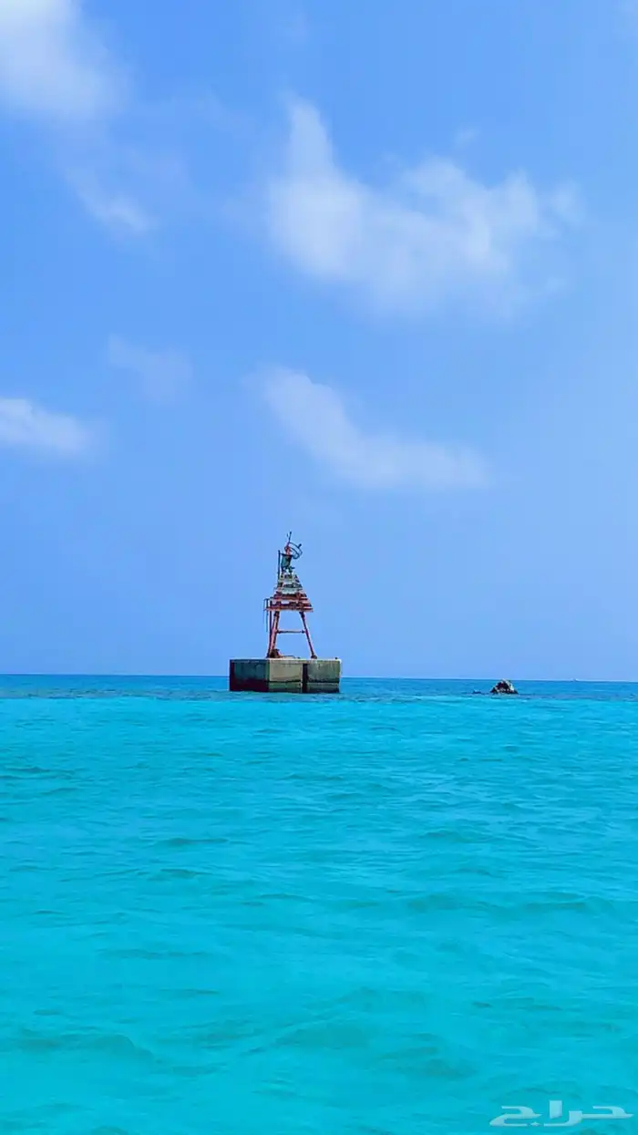 رحلات جزيره بياضه مالديف جده 5