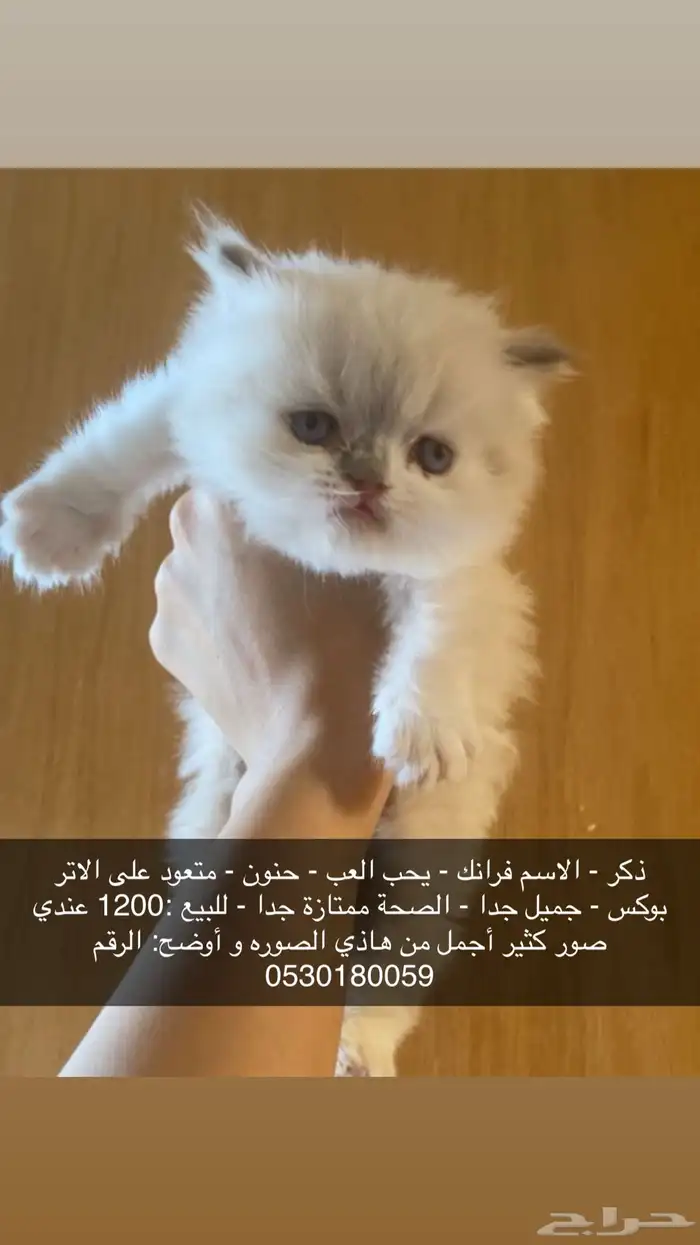 هملايا 0