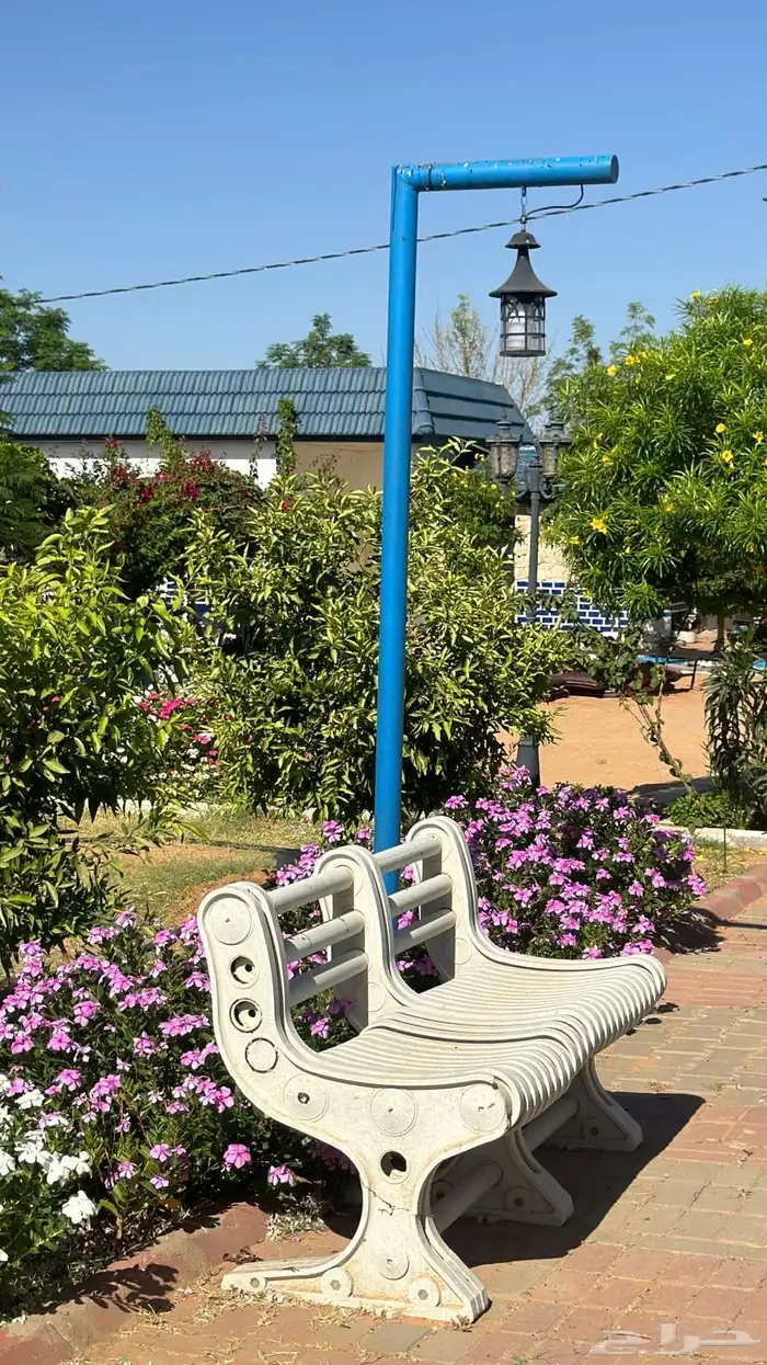 مزرعه منتجع شاليه 29