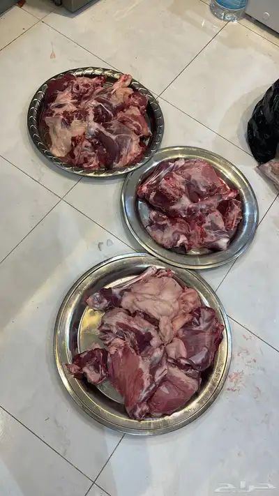 ذبيحتك لباب بيتك 8