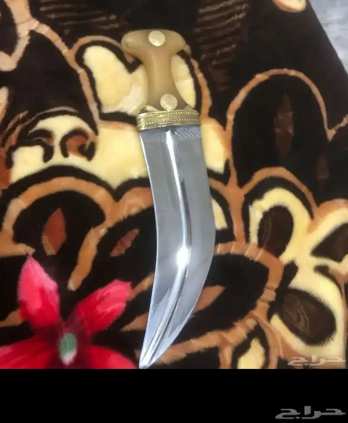 جنبيه 1