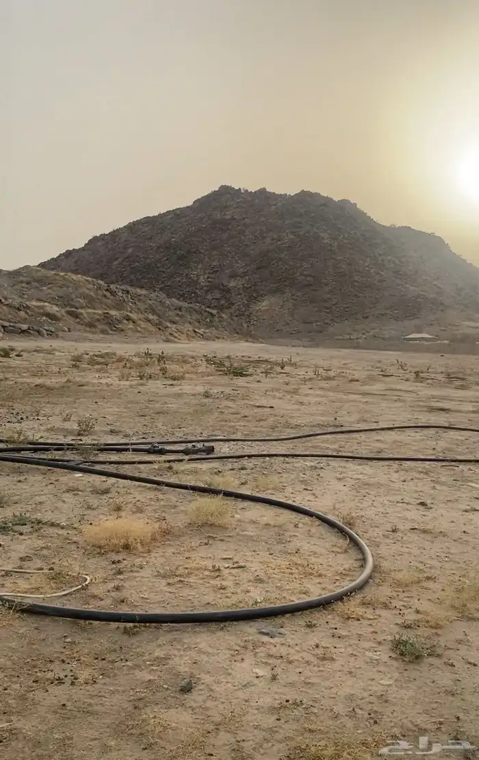 شبوك حلال للايجار حلالك في امان بعد الله 2