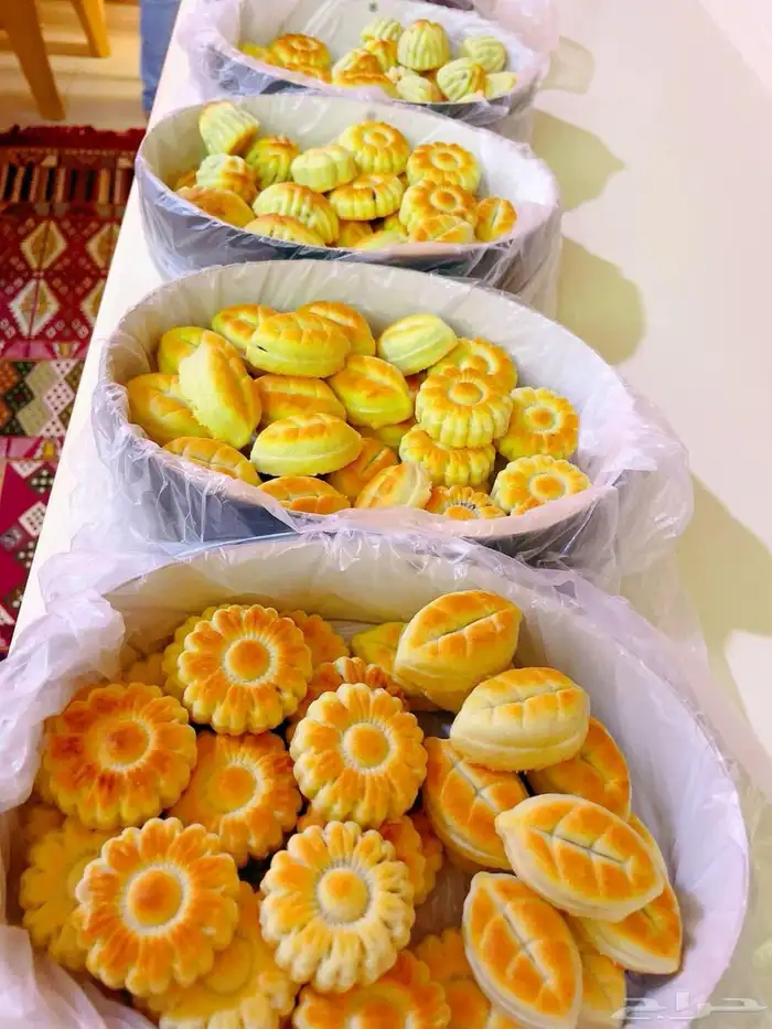 جده الحمدانيه 19