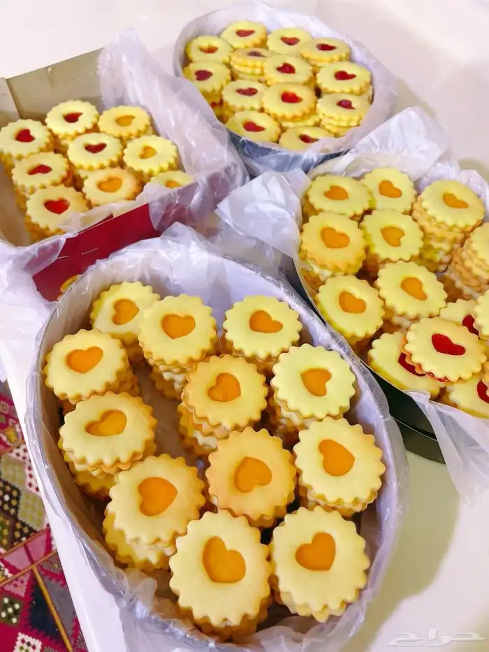 جده الحمدانيه 17