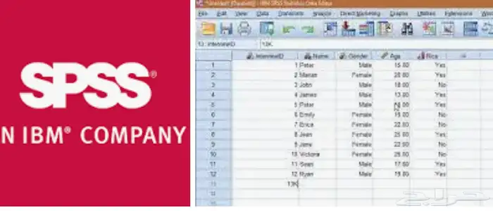 تحليل إحصائي احترافي SPSS وتدقيق لغوي عربي وE 0