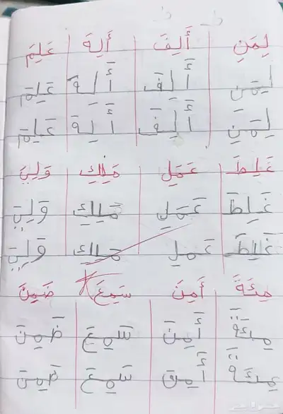 معلمه خصوصيه مصريه 2