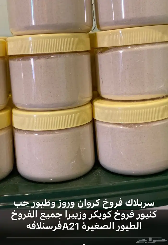 سريلاك A21 الموقع القريات 0