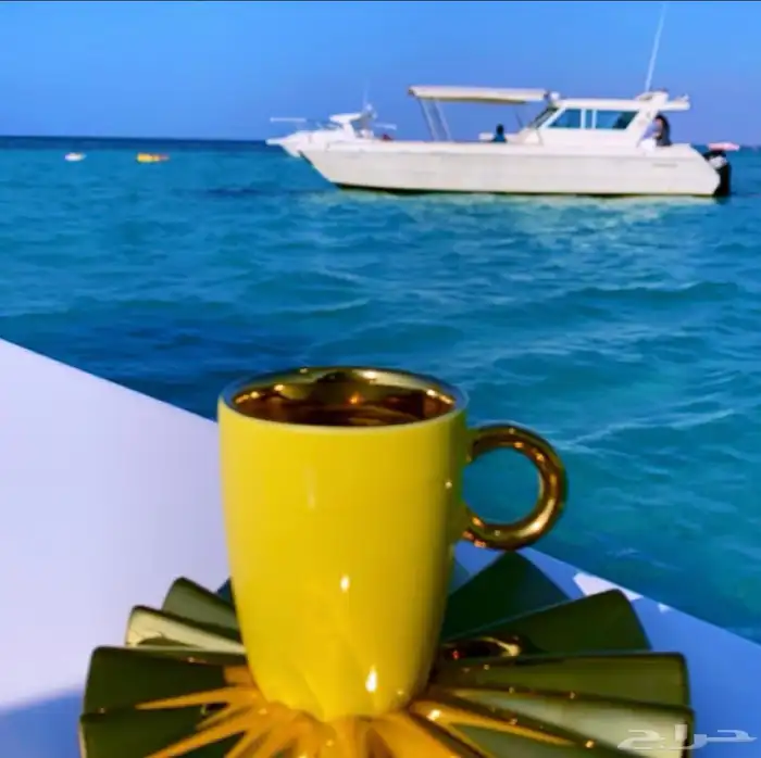 رحلات جزيره بياضه مالديف جده 16