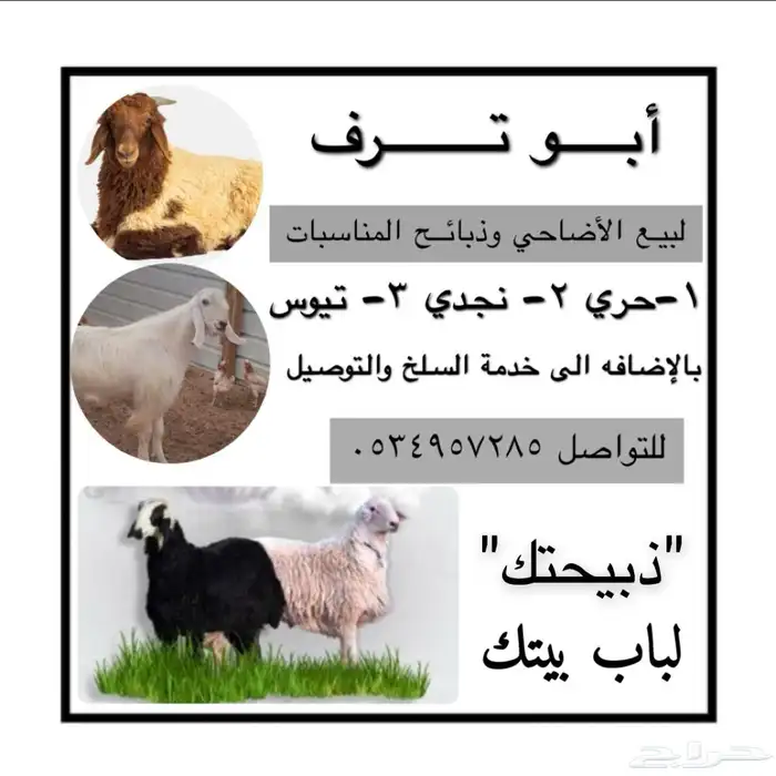ذبائح ابو ترف نشرط النظافه 0