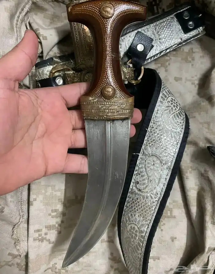 جنبيه 1