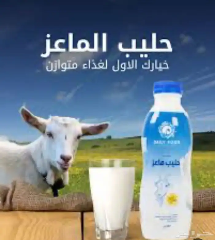 حليب ماعز 0