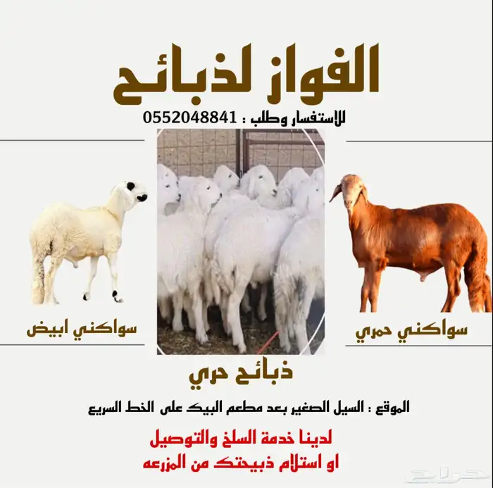 ذبايح بجوده وسعار مرضيه للجميع 0