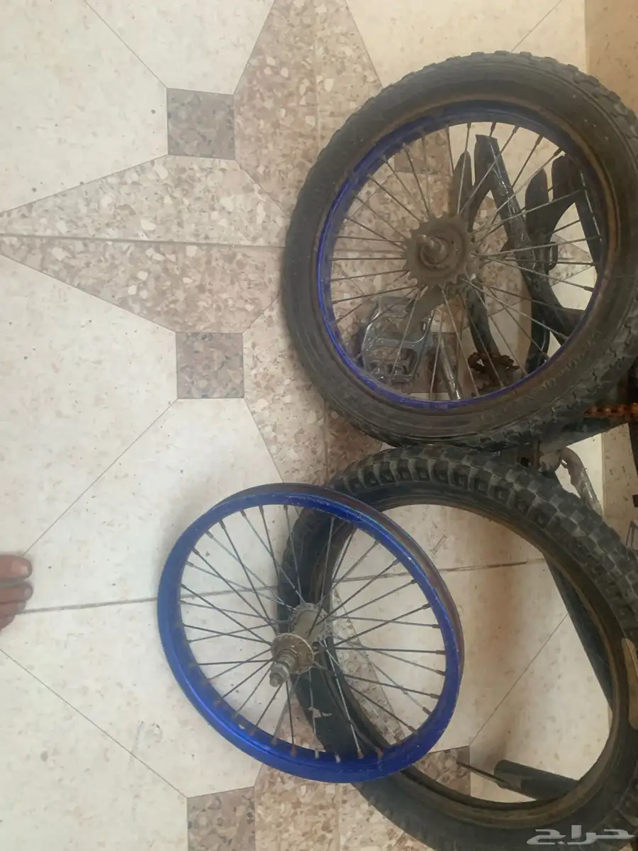 سيكل كوبرا 2