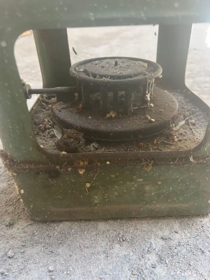 تراث قديم 30