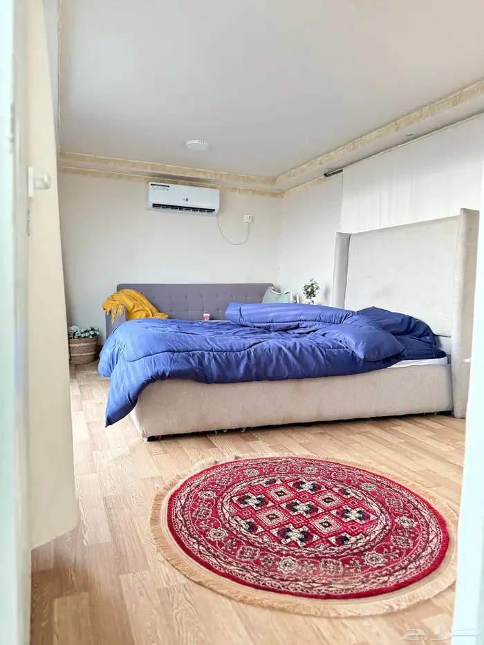 كرفان هورس بيتش على البحر مباشرة 3