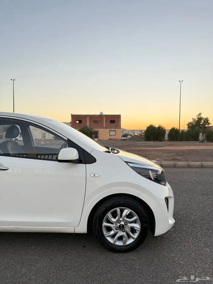 تم البيع الله يبارك للمشتري 4