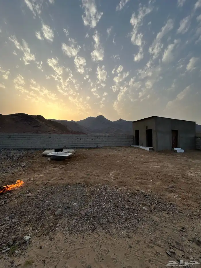 مكان غنم طيور 0
