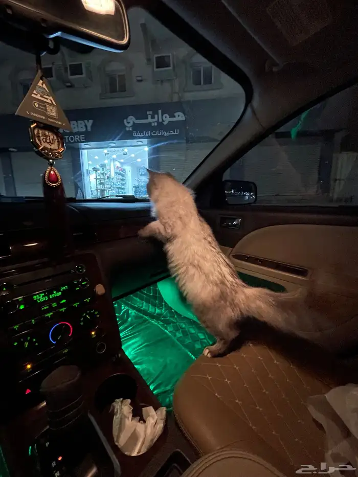 فورد تورس 2008 فل كامل للبيع 33