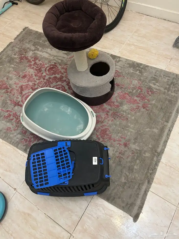 أغراض قطط 0