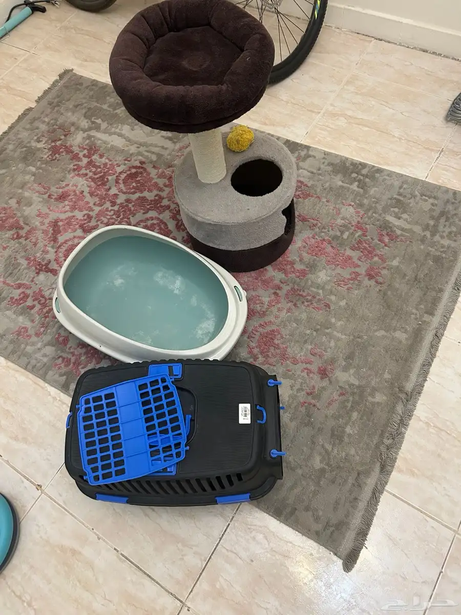 أغراض قطط 0