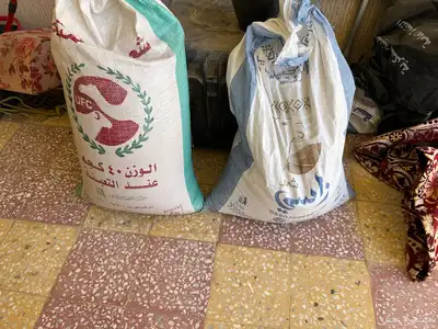 للبيع كاسين حب 0