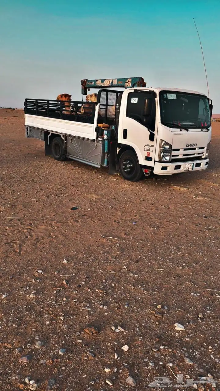 دنه ونش هدروليك ابل المردمه الغامدي 0