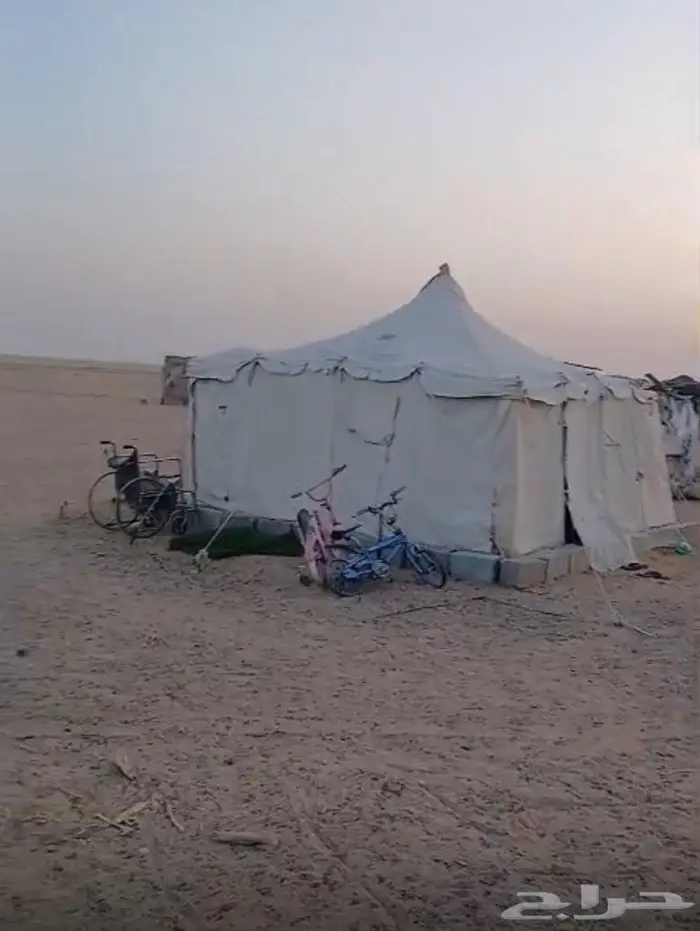 حفر الباطن كبري السفانيه الورده الشاميه 0