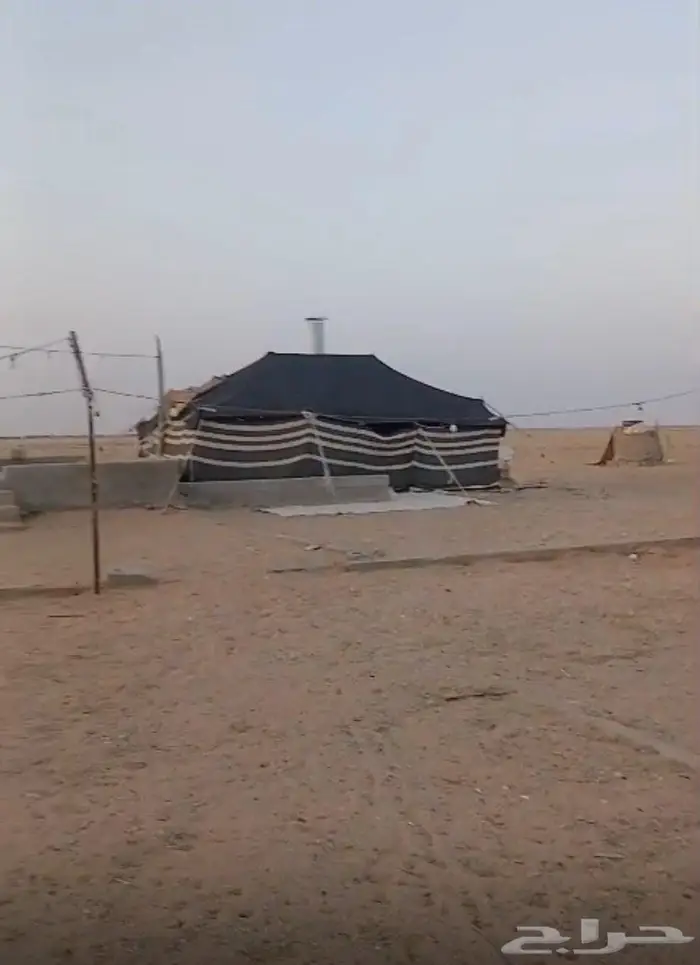 حفر الباطن كبري السفانيه الورده الشاميه 1