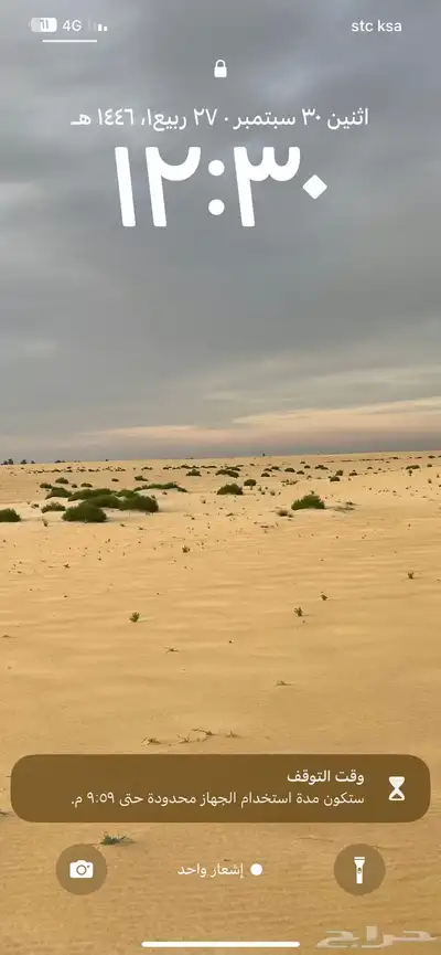 تأجير ركوب حر 3
