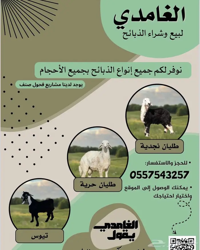 رخال ذبح والا مقنى 0