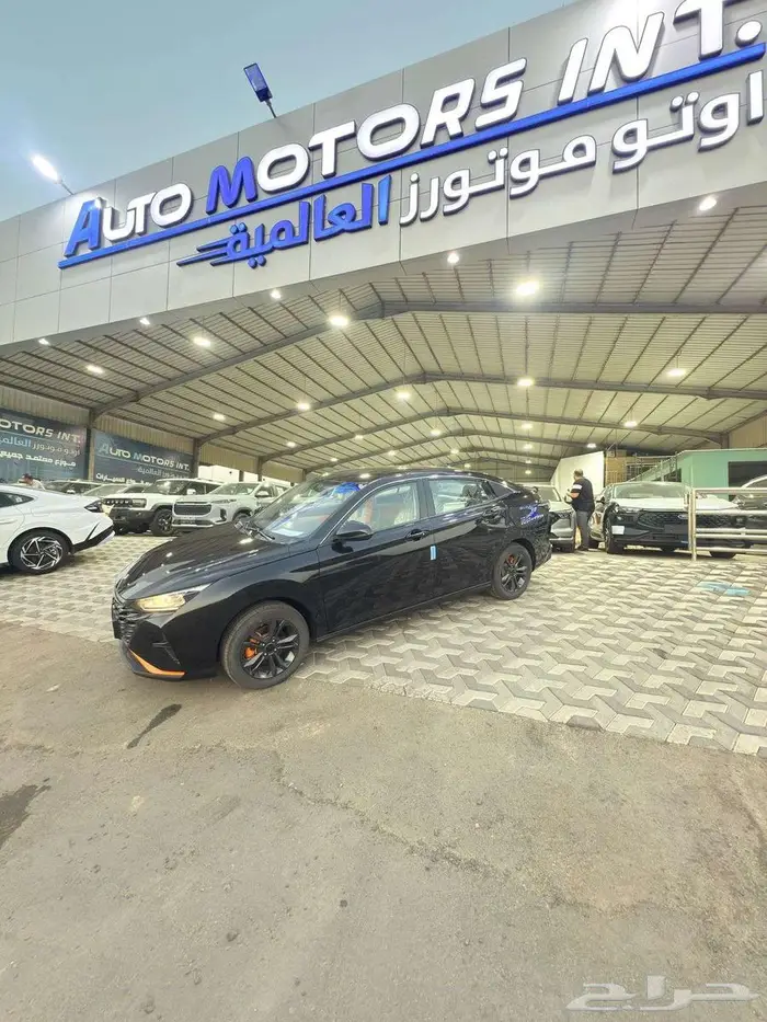 دونج فينج شاين E1 3