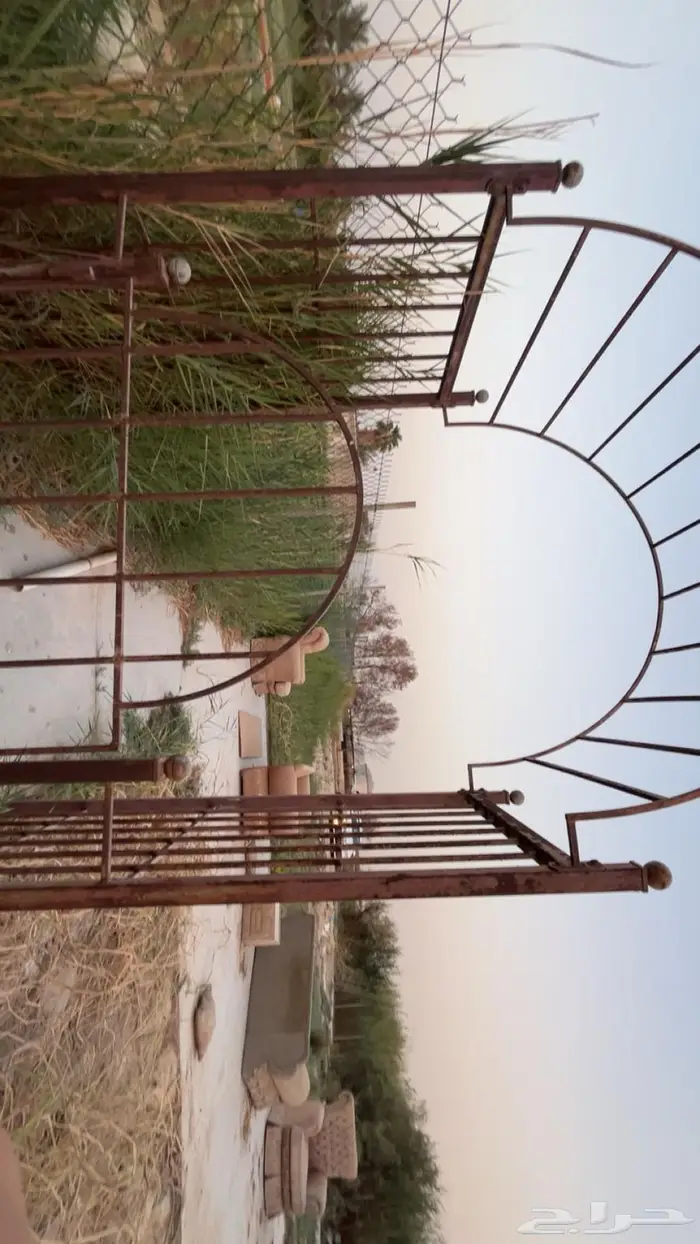 برايت حدايق 0