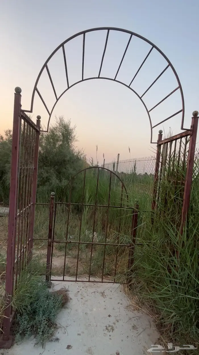 برايت حدايق 1