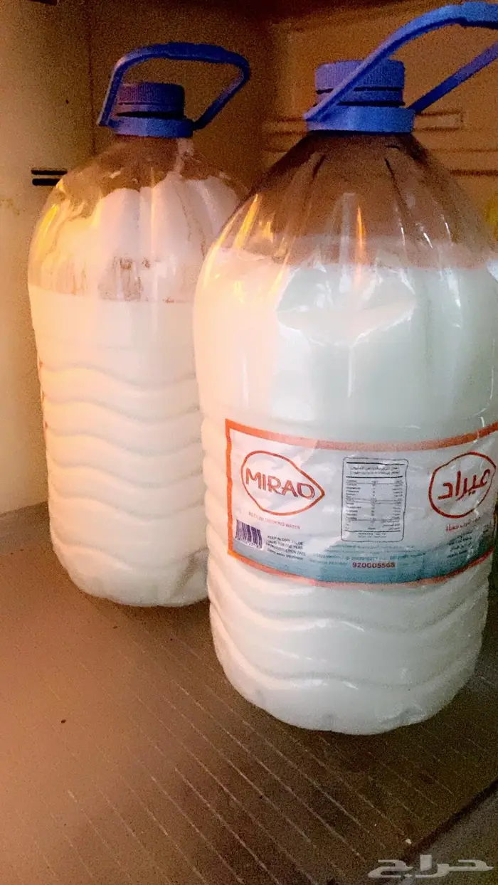للبيع حليب معزاء نظيف كل يوم 5 لتر 0