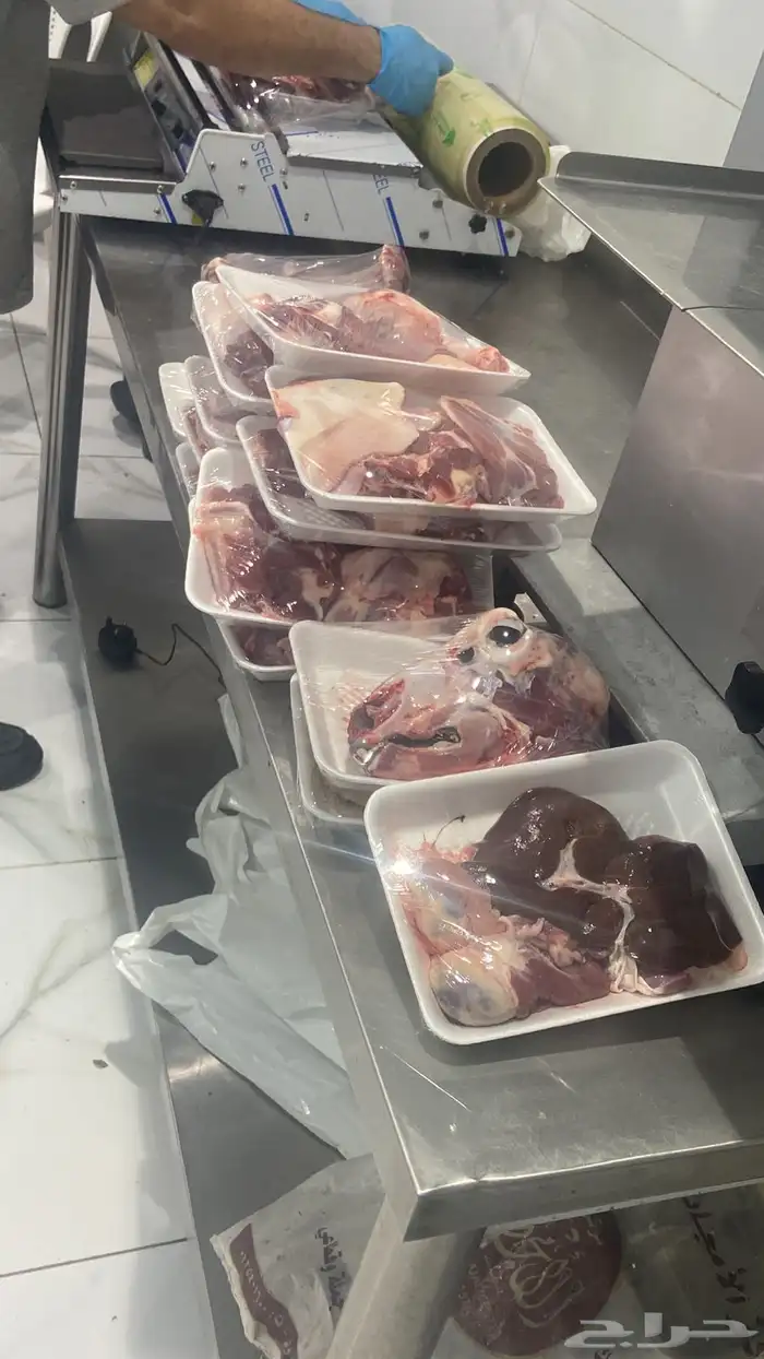 سواكني تربيه من المزرعه لباب بيتك 15