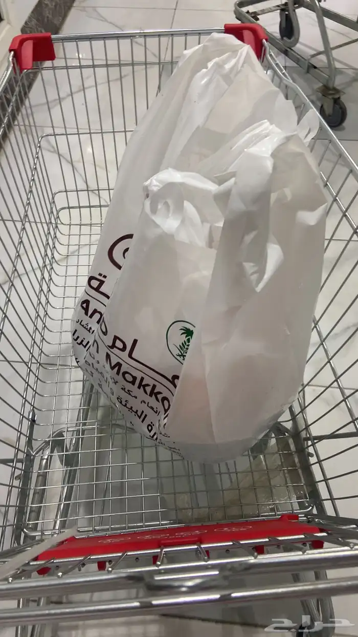 سواكني تربيه من المزرعه لباب بيتك 16