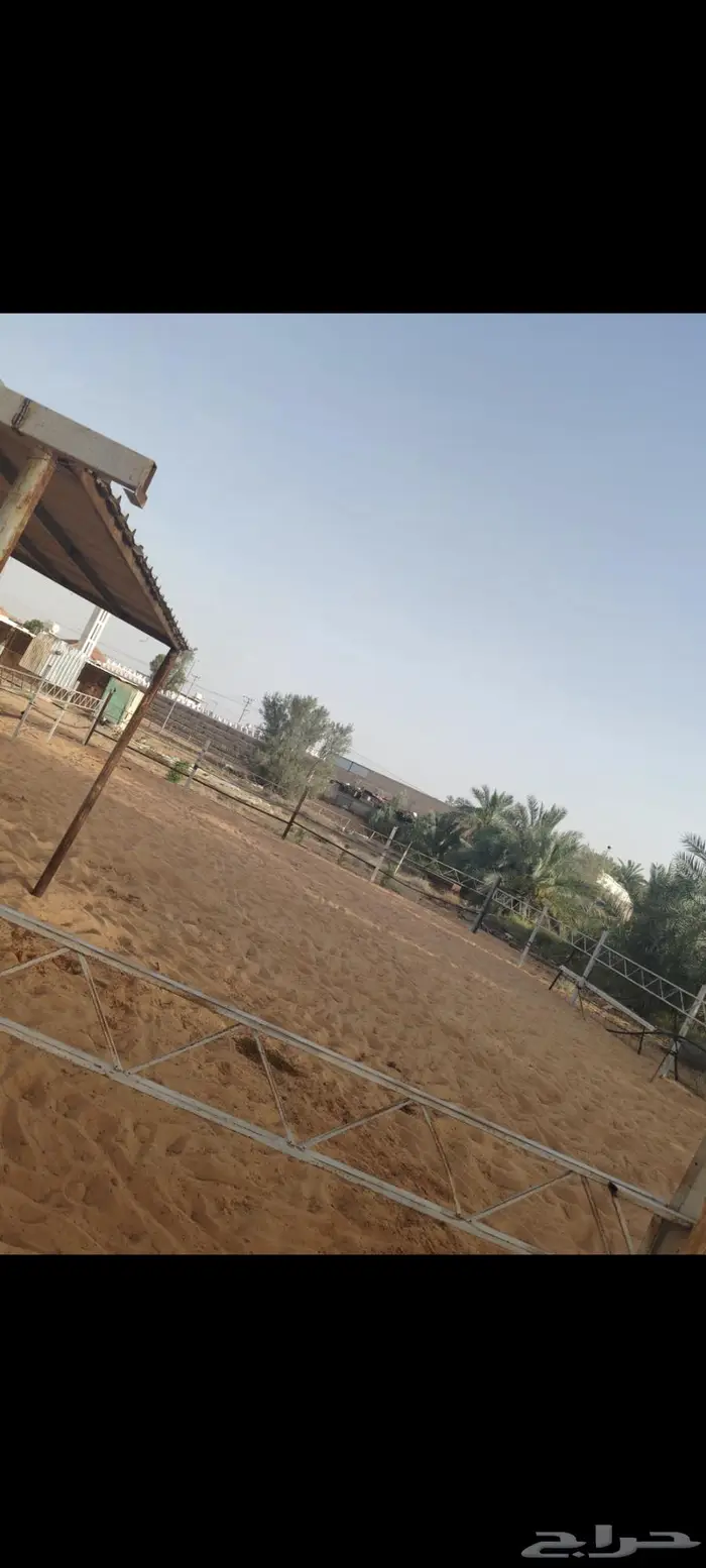 مربط ريوف الخضرا 1