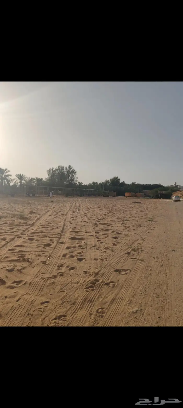 مربط ريوف الخضرا 2