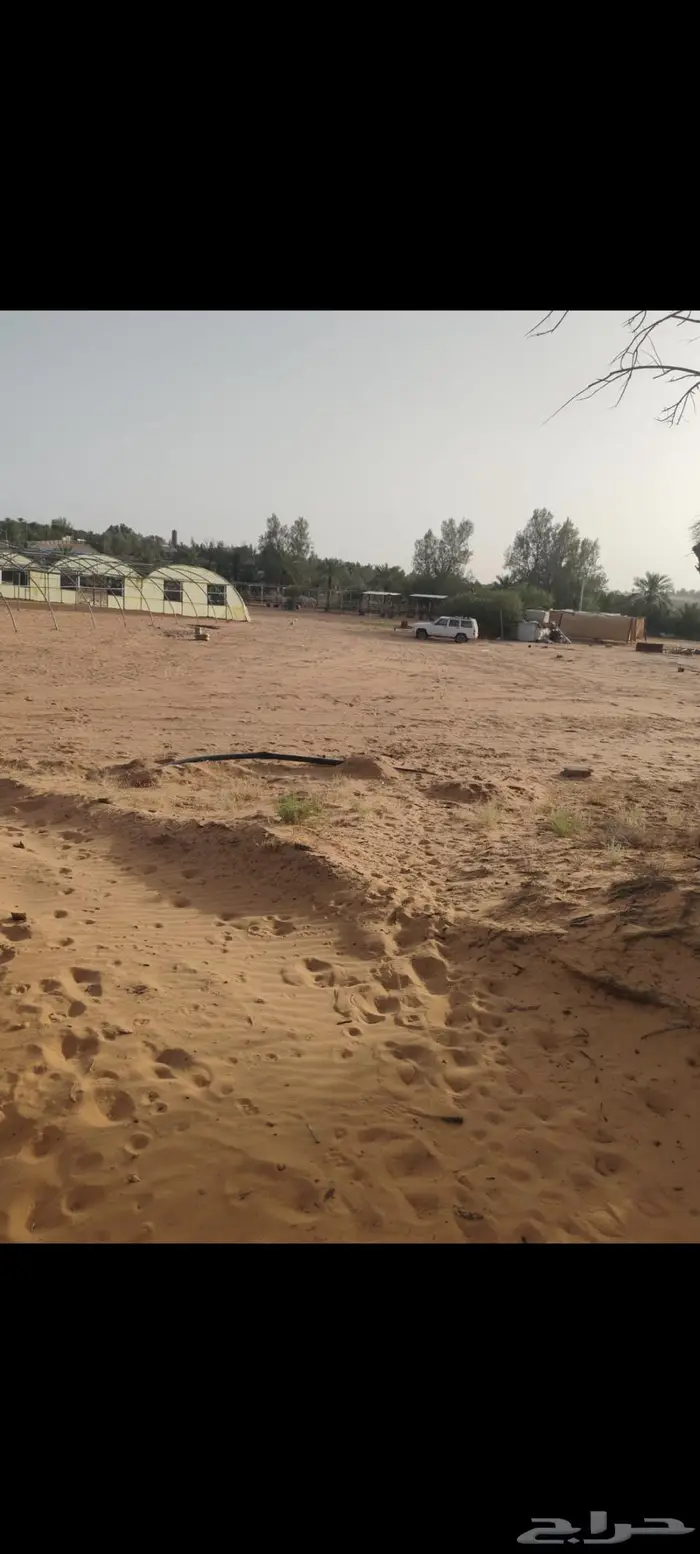 مربط ريوف الخضرا 6