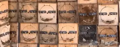 خلايا نحل محايلي 0