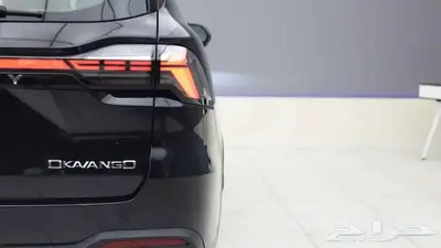 جيلي اوكوفانجو - نص فل - 2024 4