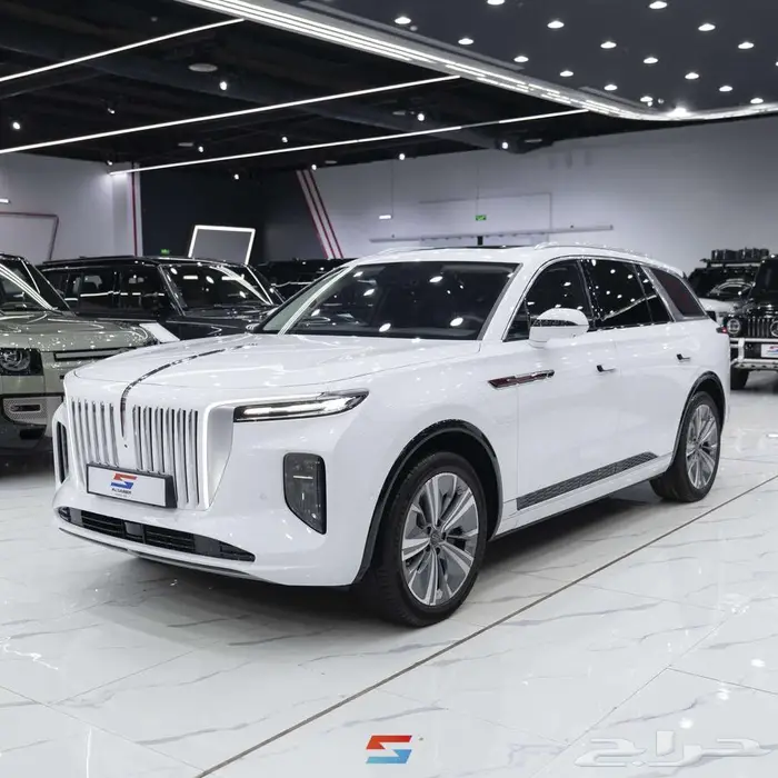 هونشي E-HS9 فلاجشيب موديل 2023 2