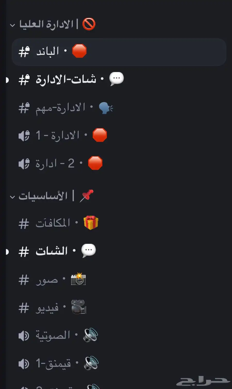 مصمم سيرفرات دسكورد ومبرمج بوتات ديسكورد 14