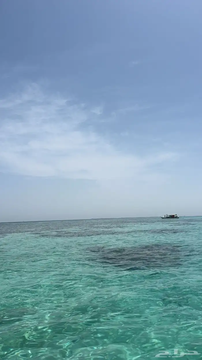 رحلة صيد او بياضه 4