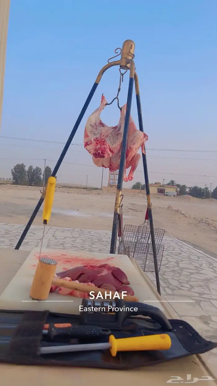 شوي خارجي مكون من مقبلات  50 حبه خبز صاج  حمص  متبل  صحون 24