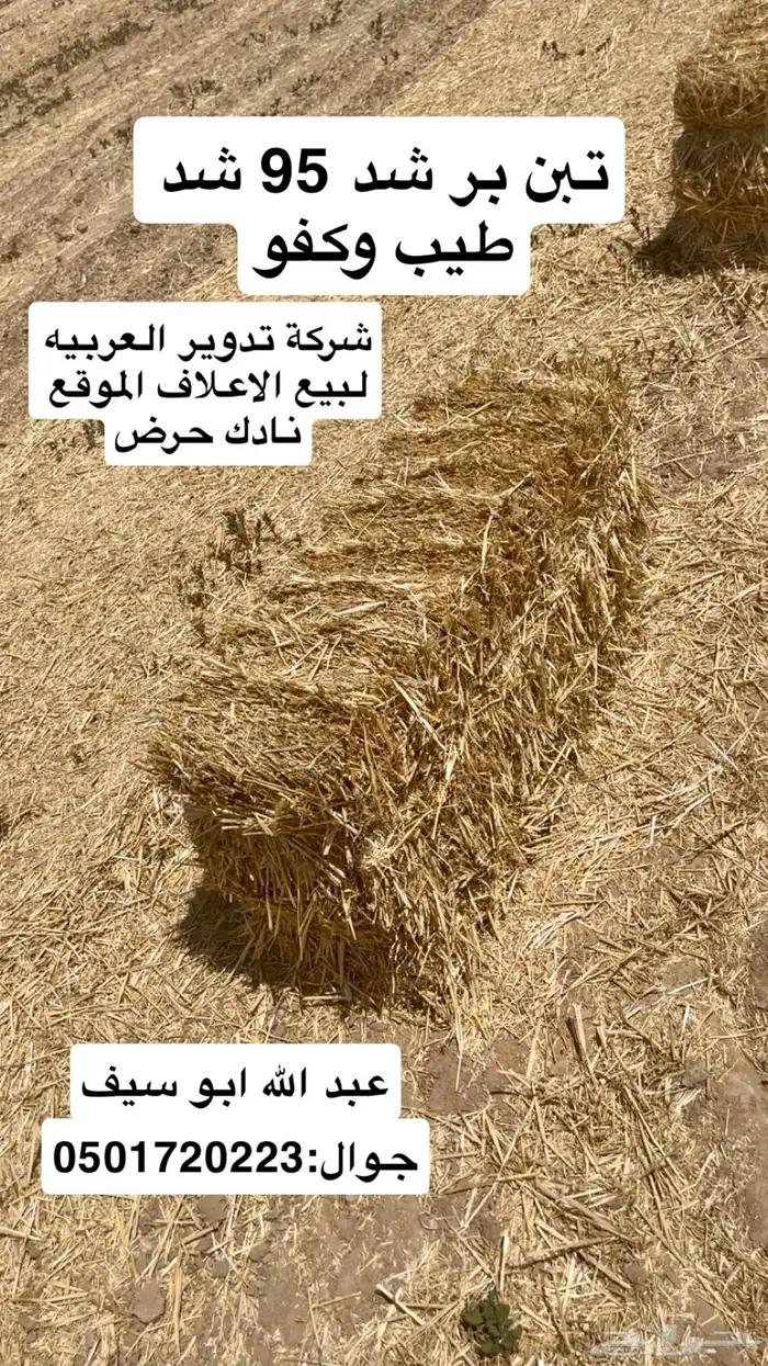 تبن بر شد 95 الموقع نادك حرض 1