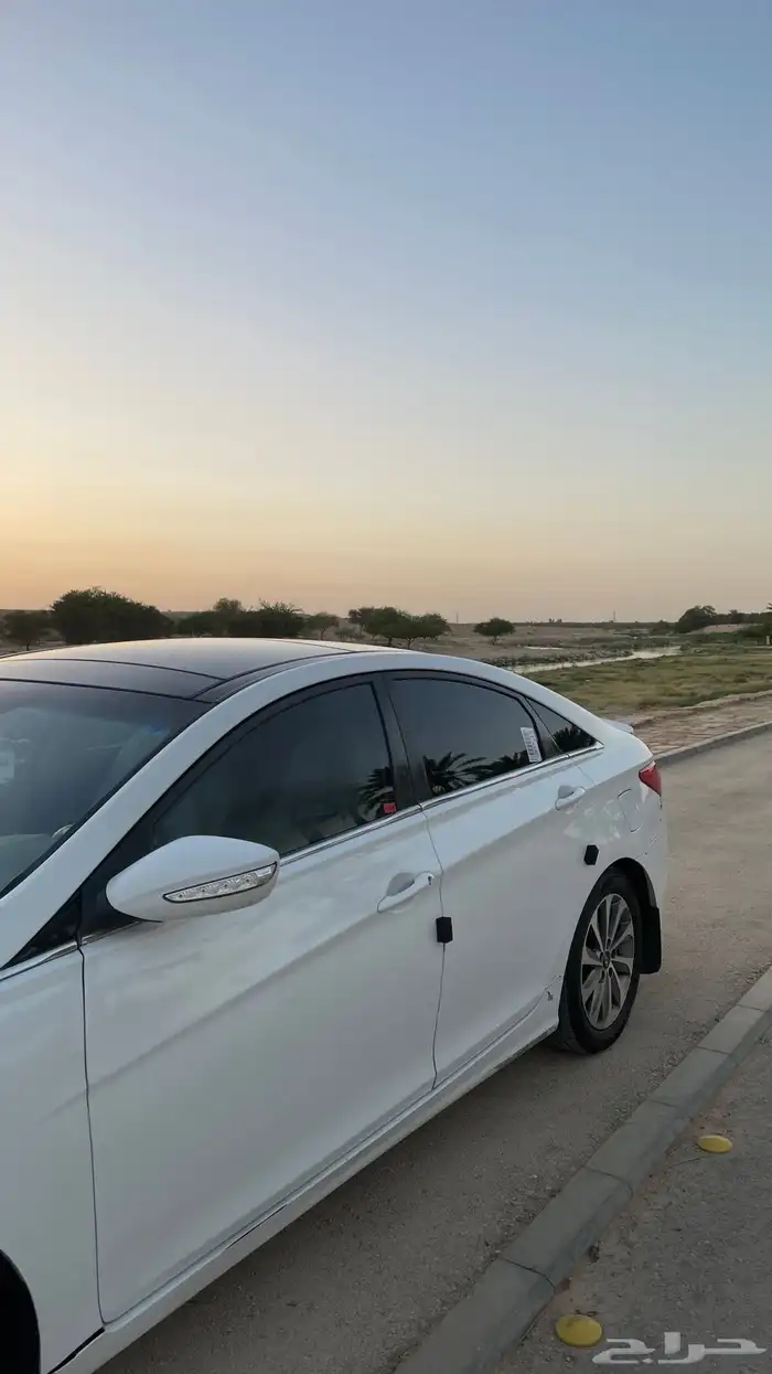 تم البيع 14