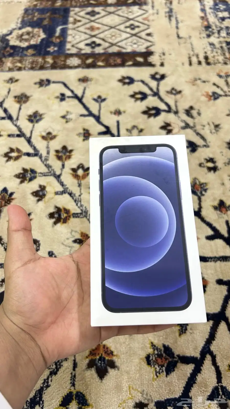 iPhon12 0
