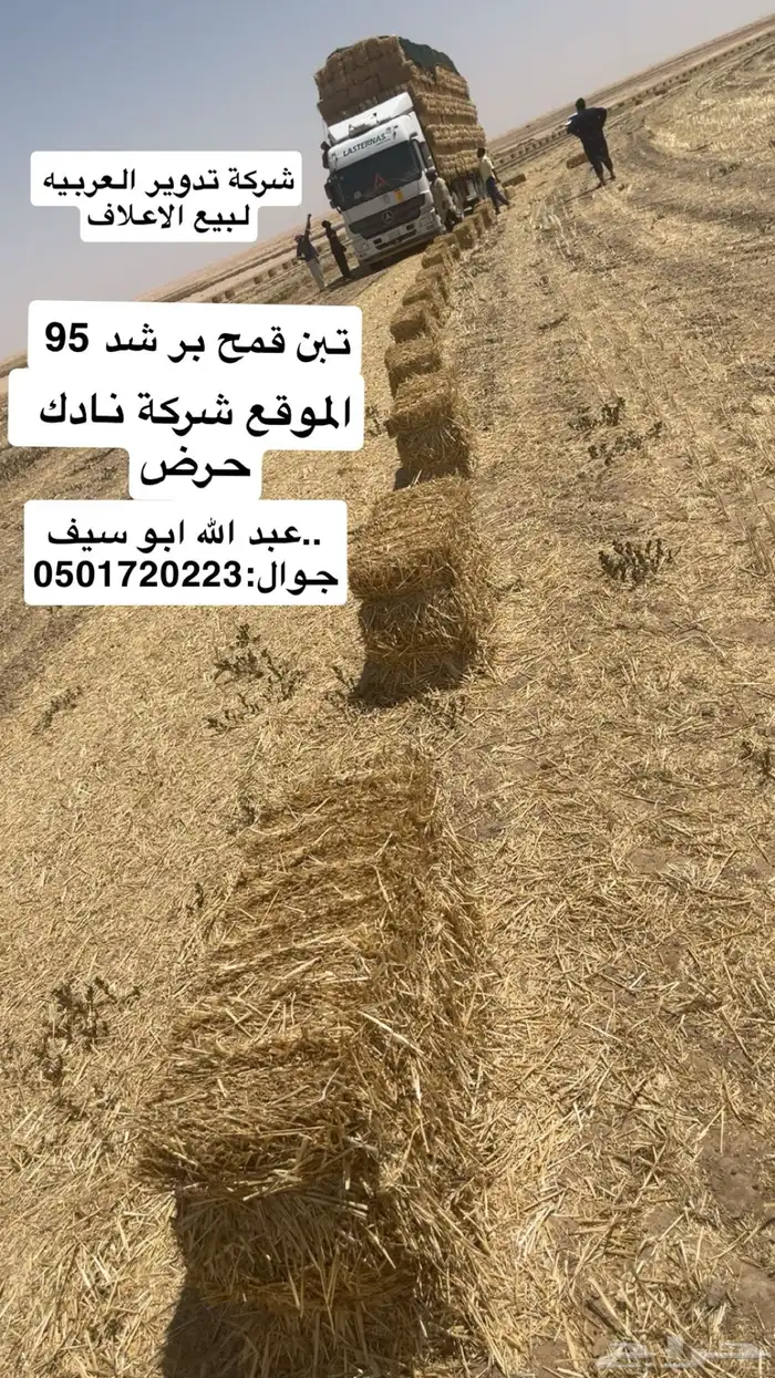 تبن بر شد 95 الموقع نادك حرض 3